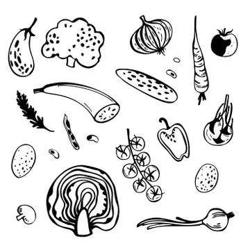 Hand drawn stylized vegetables. Sketch  illustration. Stock Illustration