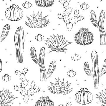 Hand drawn succulent ornament. Vector illustration. Seamless pattern with cac Stock Illustration