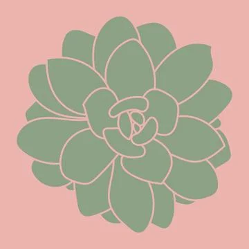 Hand drawn succulent plant. Pattern. Doodle sketch vector illustration. 스톡 일러스트