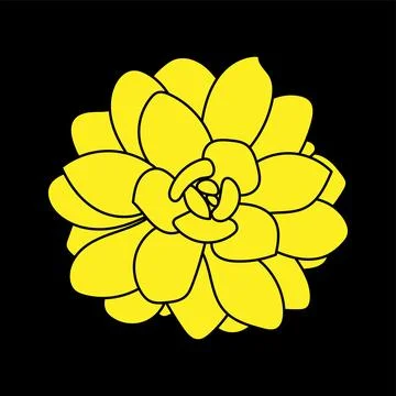 Hand drawn succulent plant pattern isolated on black background. Doodle sketch Stock Illustration