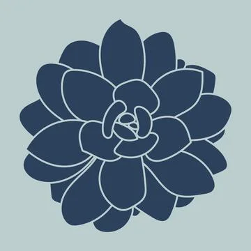 Hand drawn succulent plant. Pattern. Doodle sketch vector illustration. Stock Illustration