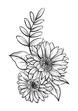 Hand Drawn Sunflower Botanical Vector Illustration Stock Illustration