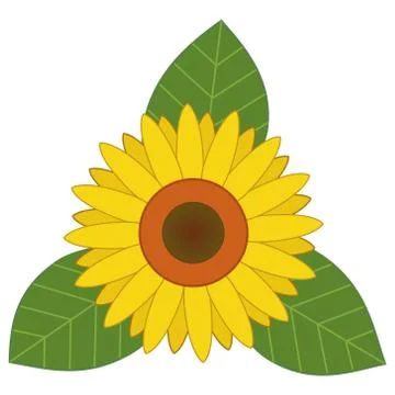 Hand Drawn Sunflower Vector on Isolated White Background Stock Illustration