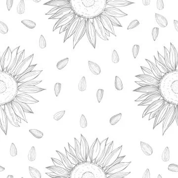 Hand drawn sunflower. Vector seamless pattern Illustrazione stock