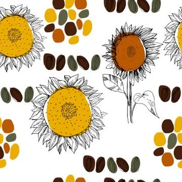 Hand drawn sunflower. Vector seamless pattern Stock Illustration