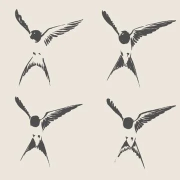 Hand drawn swallow vector illustration Stock Illustration