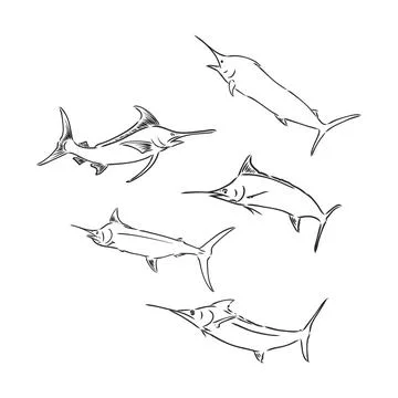 Hand drawn swordfish. Vector illustration in sketch style Stock Illustration