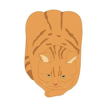 Hand drawn tabby cat in a loaf pose isolated on a white background Stock Illustration