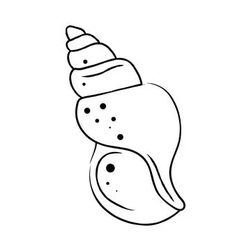 Hand drawn tall spiral seashell vector illustration line art sea element イラスト素材