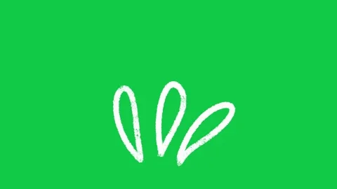 Hand Drawn Three Petal Accent Burst 2D Animation on Green Screen Видео 336578817