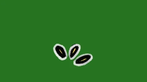 Hand-Drawn Three Sparks Animation | Minimalist 2D Hand-Drawn Magic Motion  库存影片 332127316