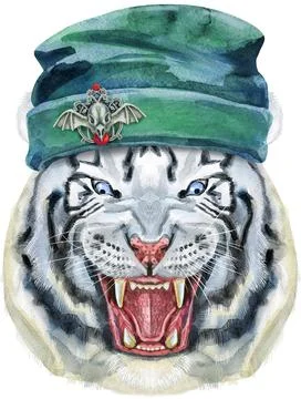 Hand drawn Tiger in beanie hat. Watercolor drawing white tiger head, blue eyes イラスト素材
