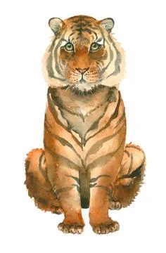 Hand drawn tiger Stock Illustration