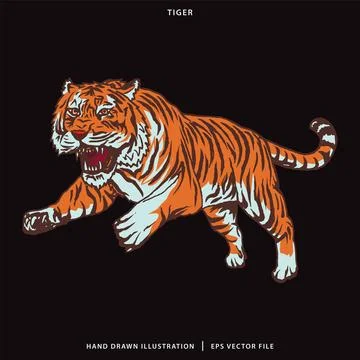 Hand Drawn Tiger Illustration Vector イラスト素材