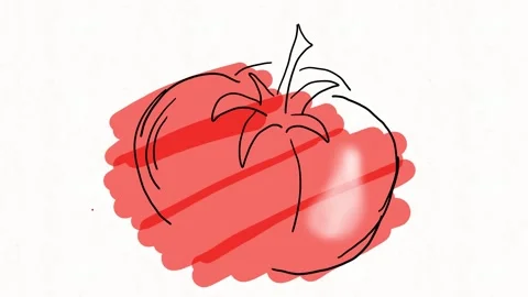 Hand Drawn Tomatoes Doodle Animation Stock Footage 338000191