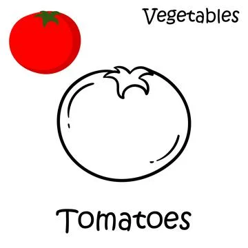 Hand drawn tomatoes on a white background Stock Illustration