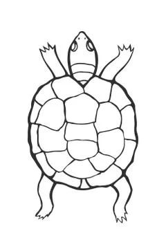 Hand drawn tortoise 스톡 일러스트