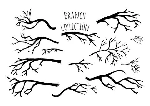 Hand drawn tree branches collection. Stock Illustration