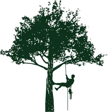 Hand drawn tree with a climber on a white background.Tree pruning. Vector. Stock Illustration