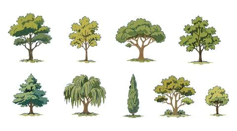 Hand Drawn Tree Collection Vector Illustration Set Stock Illustration