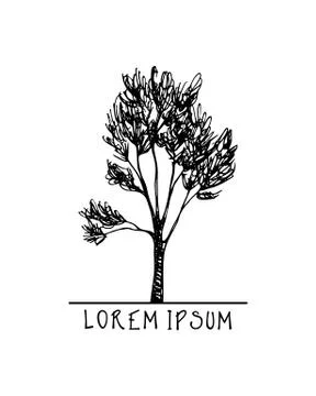 Hand drawn tree Stock Illustration