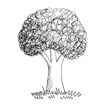 Hand drawn tree Stock Illustration