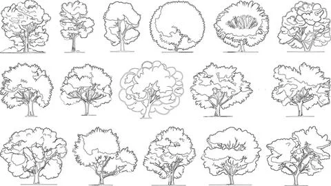 Hand drawn tree illustrations featuring various shapes and sizes of trees p.. Stock Illustration