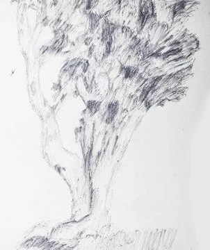 Hand Drawn Tree With Junky Line Technique Stock Illustration