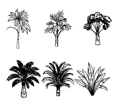 Hand Drawn Tree Sketch Set  Botanical Palm and Tropical Plant Silhouette Illustrazione stock