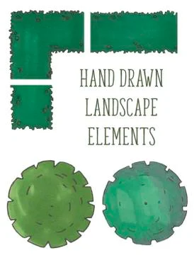 Hand drawn tree top, trees and bushes, vector Stock Illustration
