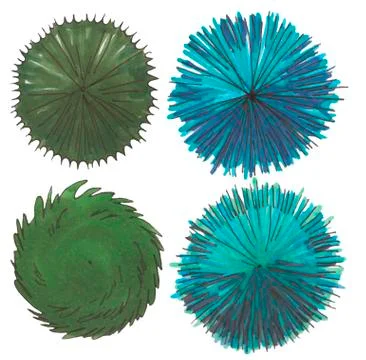 Hand drawn tree top, trees and bushes, vector Stock Illustration