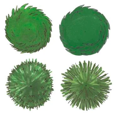 Hand drawn tree top, trees and bushes, vector Stock Illustration