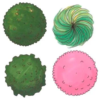 Hand drawn tree top, trees and bushes, vector Stock Illustration