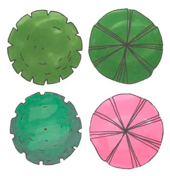 Hand drawn tree top, trees and bushes, vector Stock Illustration