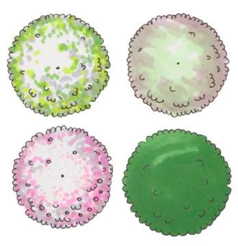 Hand drawn tree top, trees and bushes, vector Stock Illustration