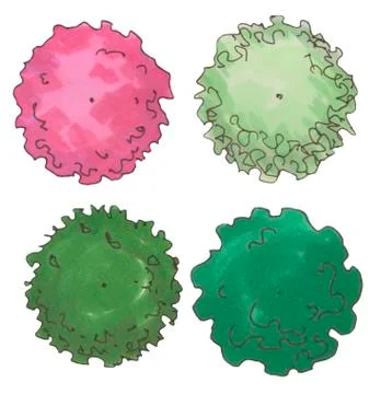 Hand drawn tree top, trees and bushes, vector Stock Illustration