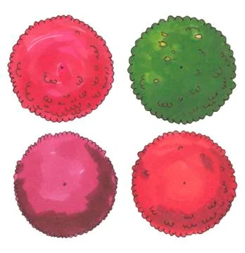 Hand drawn tree top, trees and bushes, vector Stock Illustration