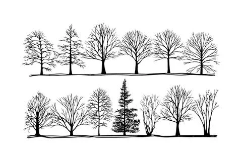 Hand drawn trees Stock Illustration