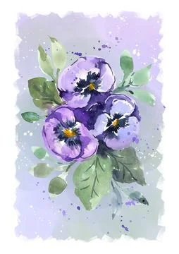 Hand-drawn, tricolor purple pansies, background for the design of the invitation Stock Illustration