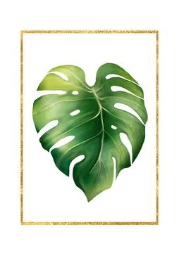 Hand drawn tropical leaf and gold frame isolated on white background. Stock Illustration