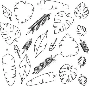 Hand Drawn Tropical Leaf Collection with Botanical Nature Illustration Stock-Illustration