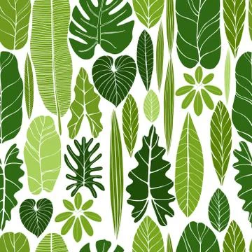 Hand drawn tropical leaves.  Vector seamless pattern Stock Illustration