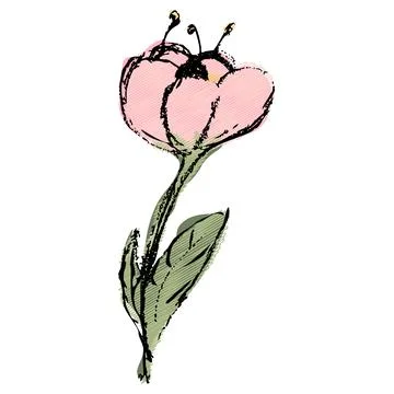 Hand Drawn Tulip with Hatched Pastels Stock Illustration