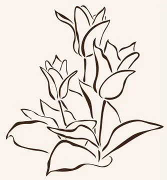 Hand drawn tulip Illustrazione stock