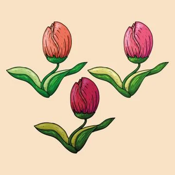 Hand drawn tulips Stock Illustration