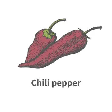 Hand-drawn two ripe red chili pepper Stock Illustration