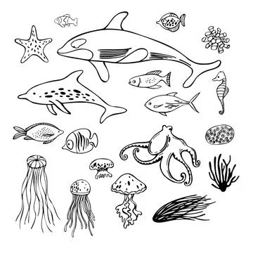 Hand drawn underwater world.  Vector  illustration Stock Illustration