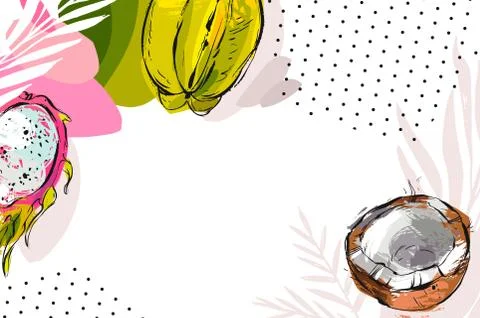 Hand drawn vector abstract artistic tropical header with exotic fruits coconut 库存插图