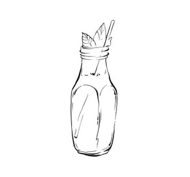 Hand drawn vector abstract artistic cooking ink sketch illustration of tropical Stock Illustration