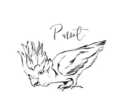 Hand drawn vector abstract artistic ink textured graphic sketch drawing 스톡 일러스트